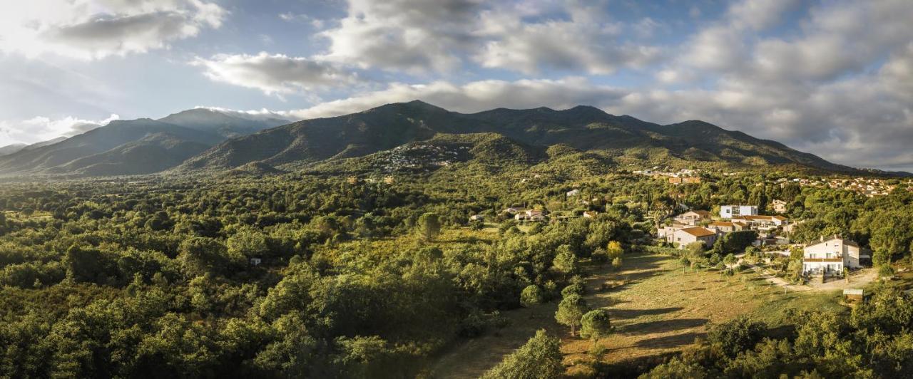Domaine Pedra Llampada Gite Cerise Villelongue-dels-Monts Exterior foto